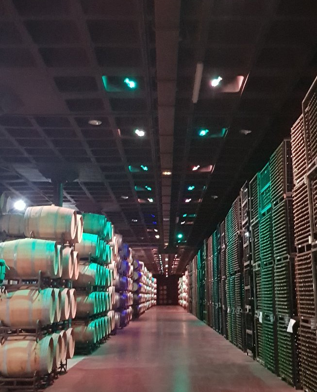 Bodegas Vina Mayor-Quintanilla de Onesimo必去景点