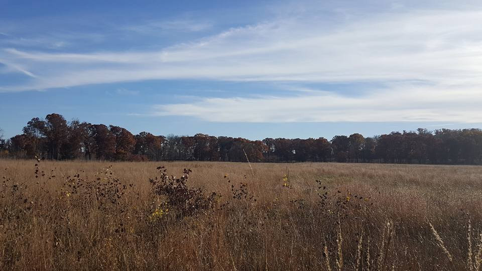 Blue Hill Trail景点图片