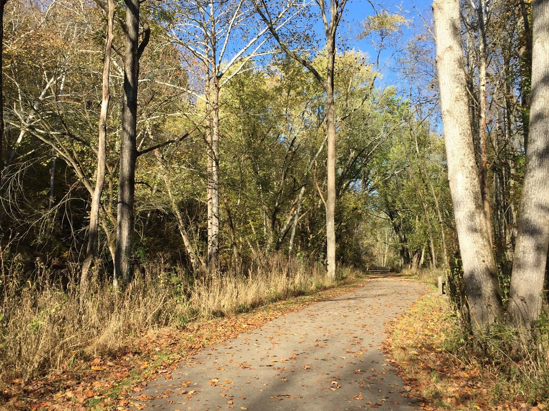 Salt Creek Trail景点图片