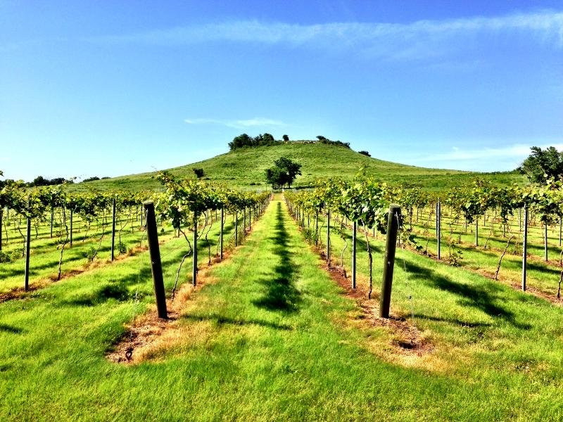 Winfield旅游景点-Wheat State Wine Co