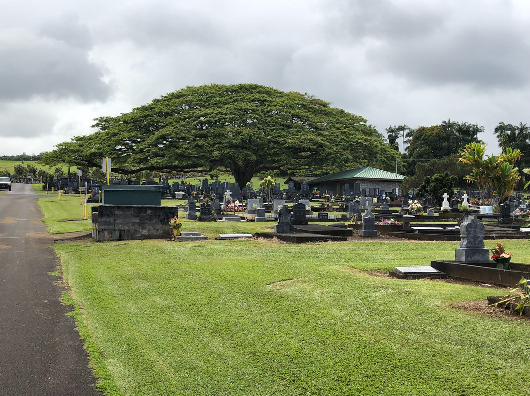 Alae Cemetery-希洛必去景点