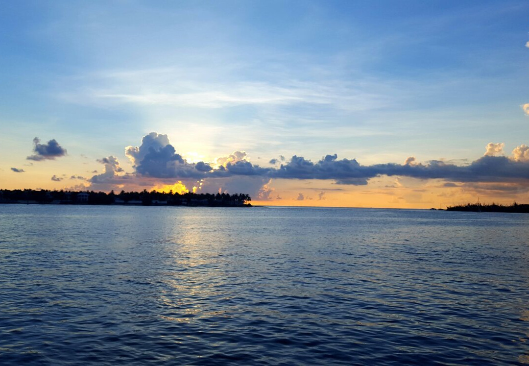 Sunset Celebration-基韦斯特必去景点