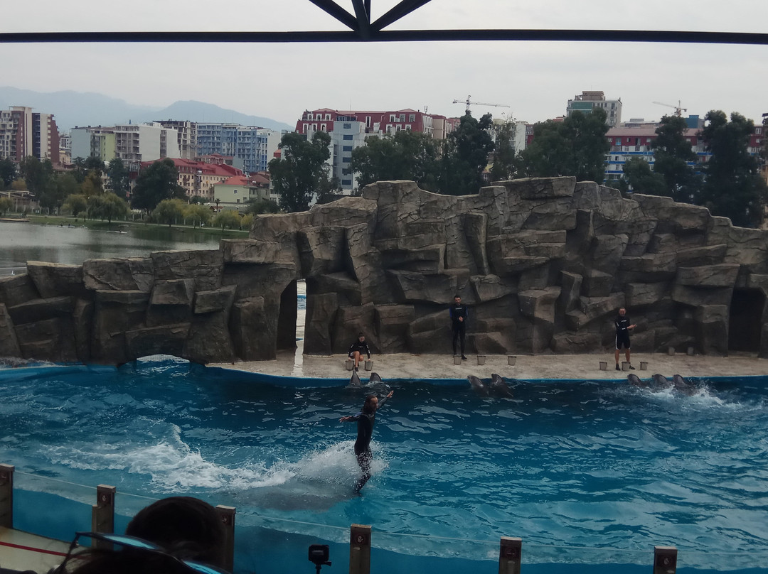 Batumi Dolphinarium景点图片