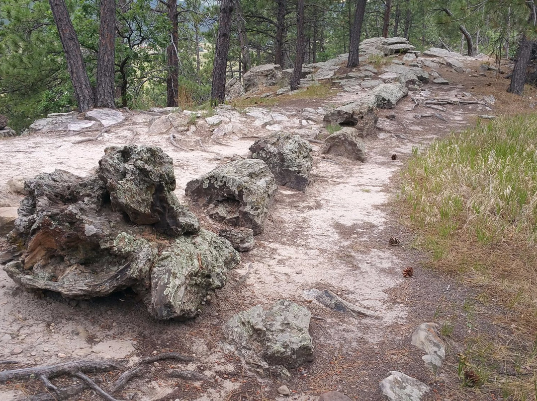 Red Owl旅游景点-Petrified Forest of the Black Hills