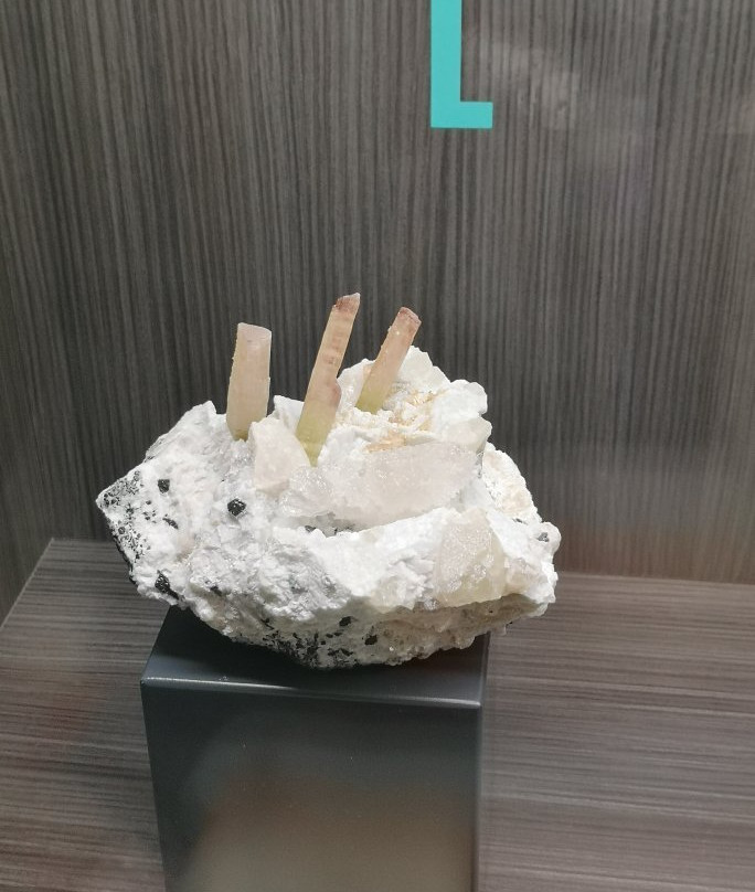 MUM - Museo Mineralogico e Gemmologico  Luigi Celleri景点图片