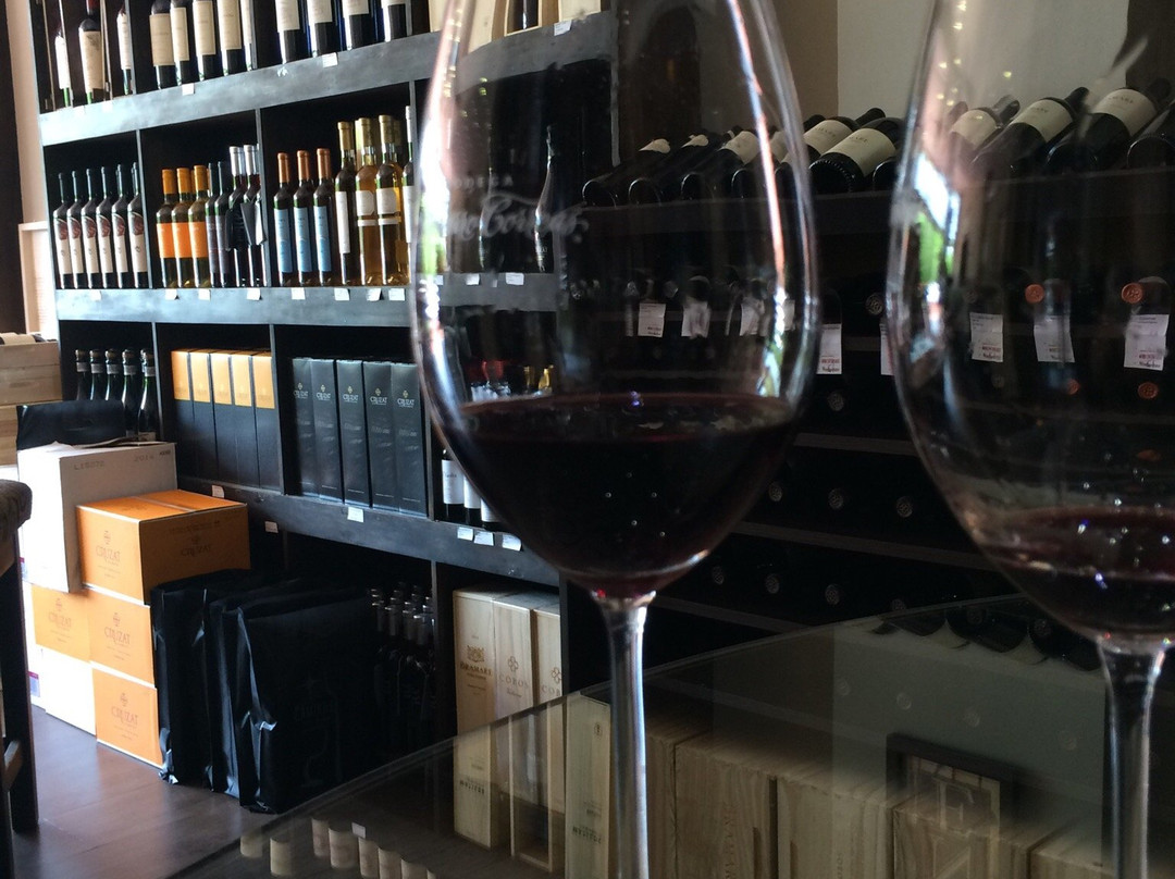 Vinoteca Caminos Wine Boutique-伊瓜苏港必去景点
