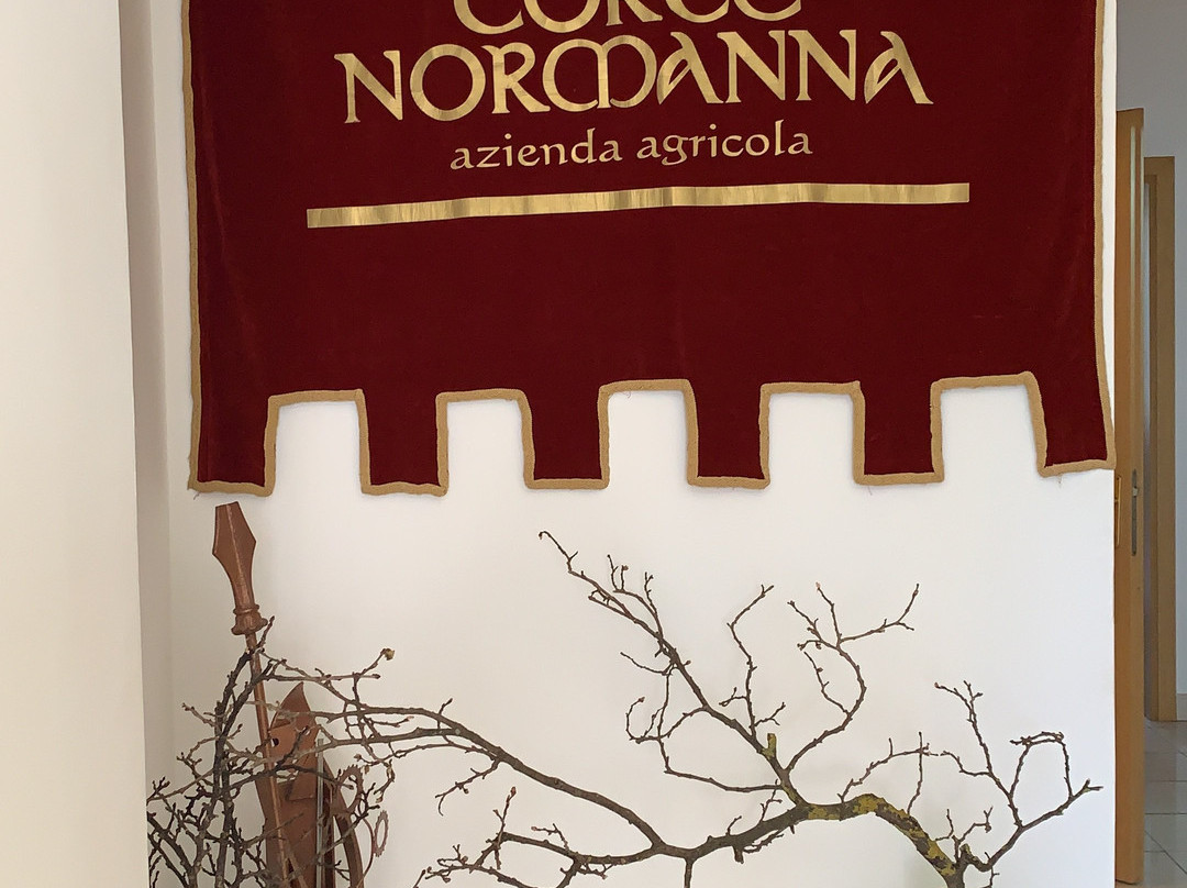 Corte Normanna Societa Agricola景点图片