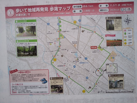 Hana no Oasis-鸿巢市必去景点