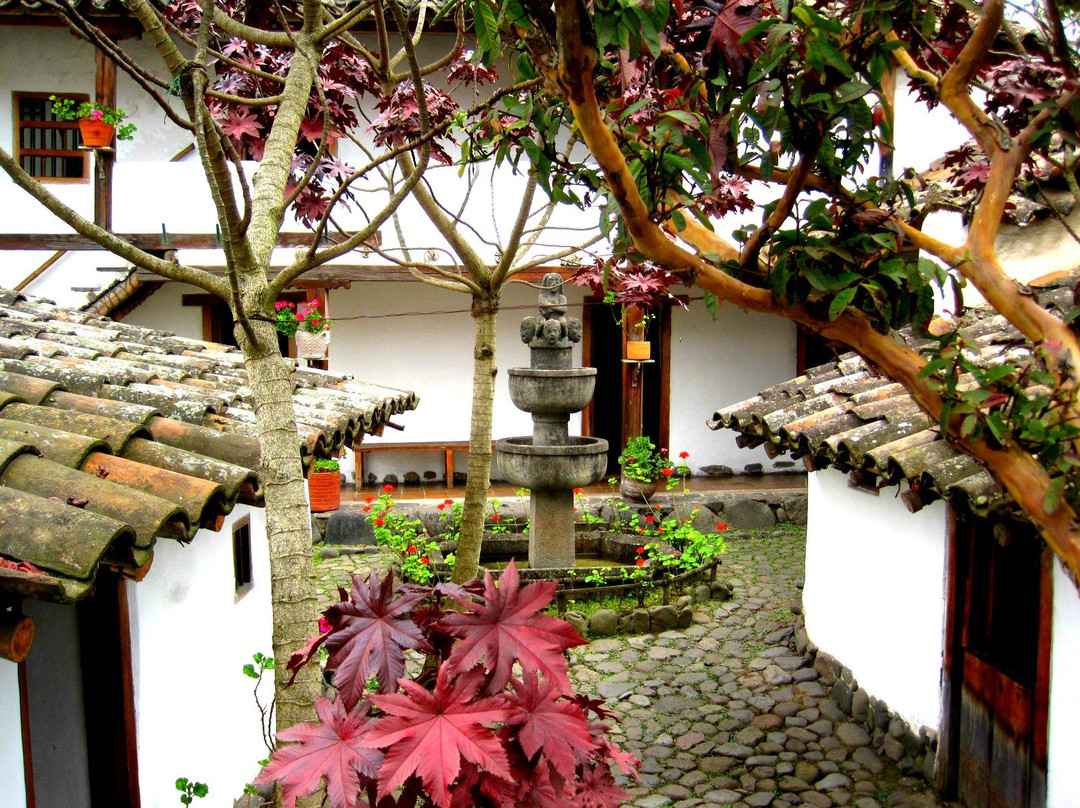Casa Museo Taminango景点图片
