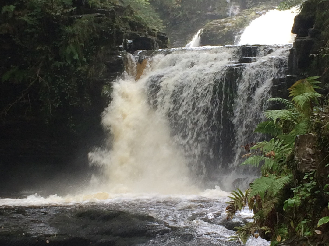 The Tanners Arms主图