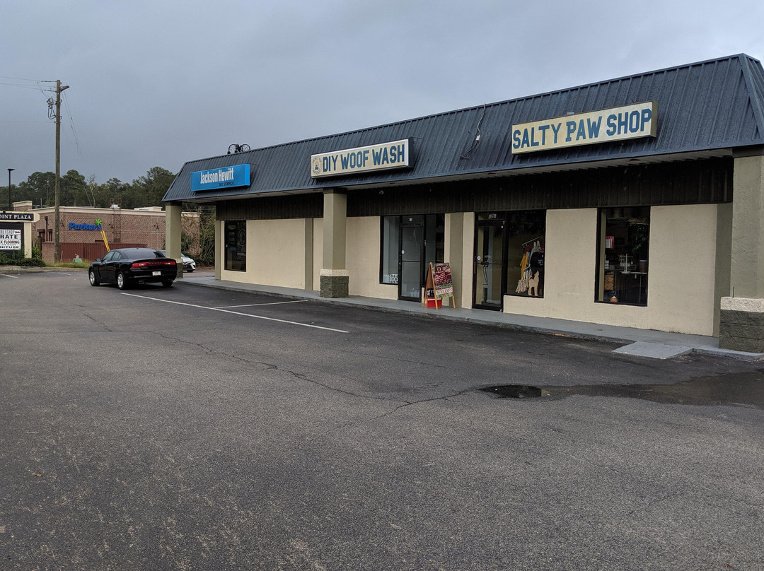 The Salty Paw LLC-博福特必去景点