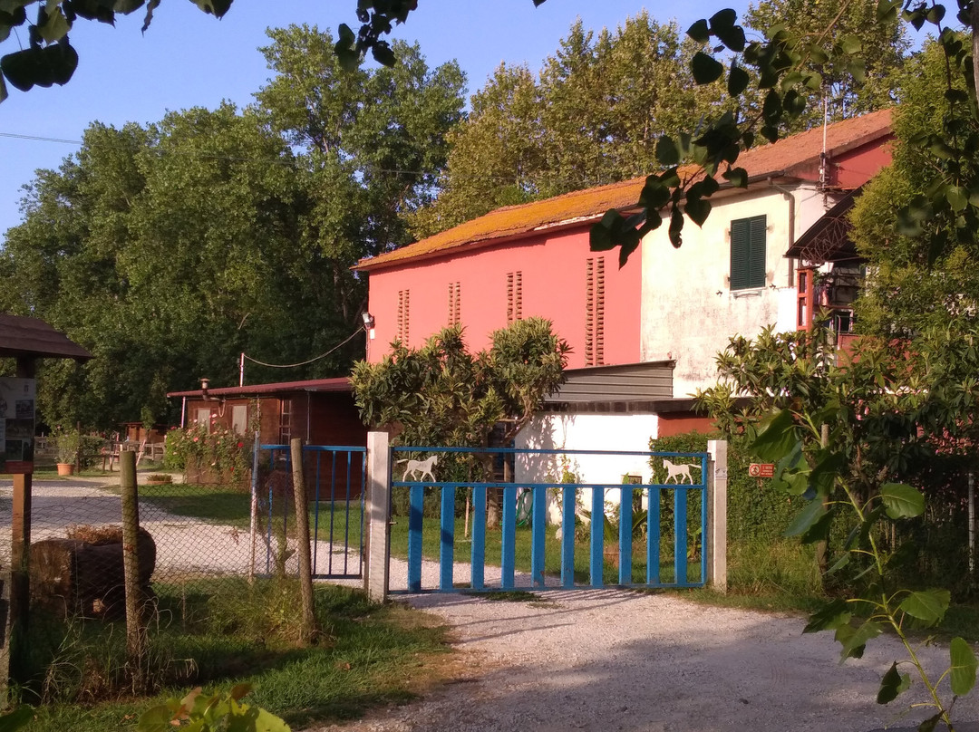 Fattoria Battilana主图