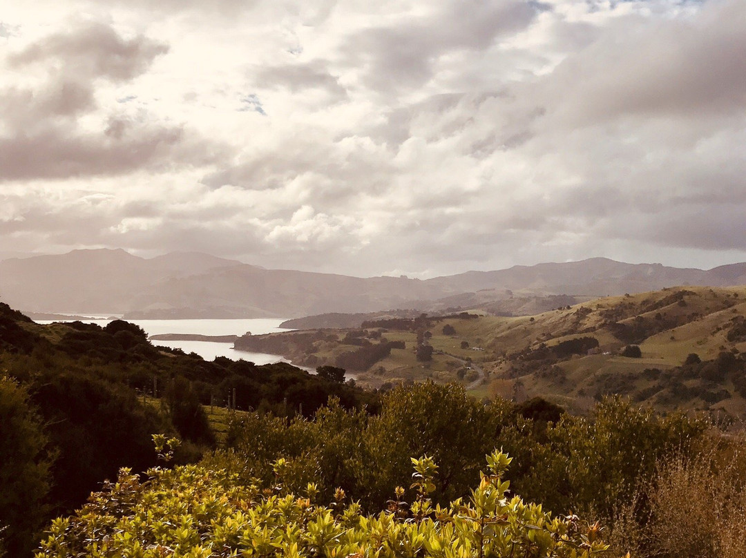 Takamatua Valley Vineyard-阿卡罗阿必去景点
