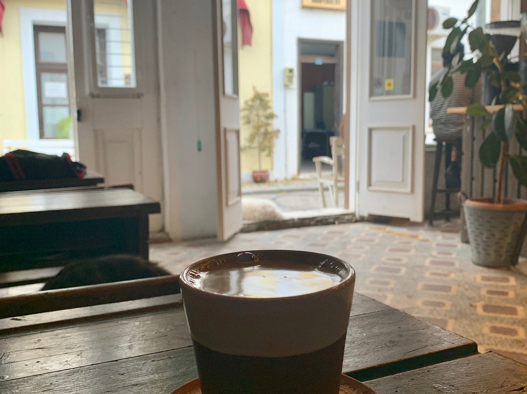 Shelter Coffee