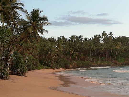 Leatherback Beach Villa主图