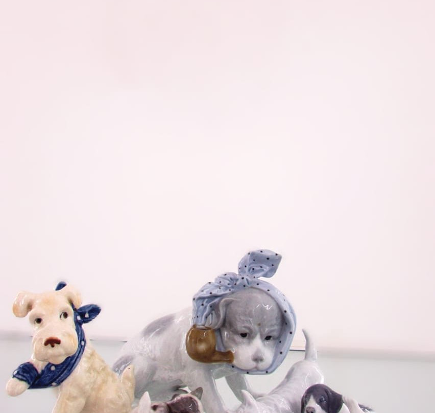 Museu De Porcelana De Petrópolis-彼得罗波利斯必去景点