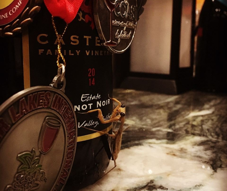 Castelli & Pizarro Family Winery景点图片