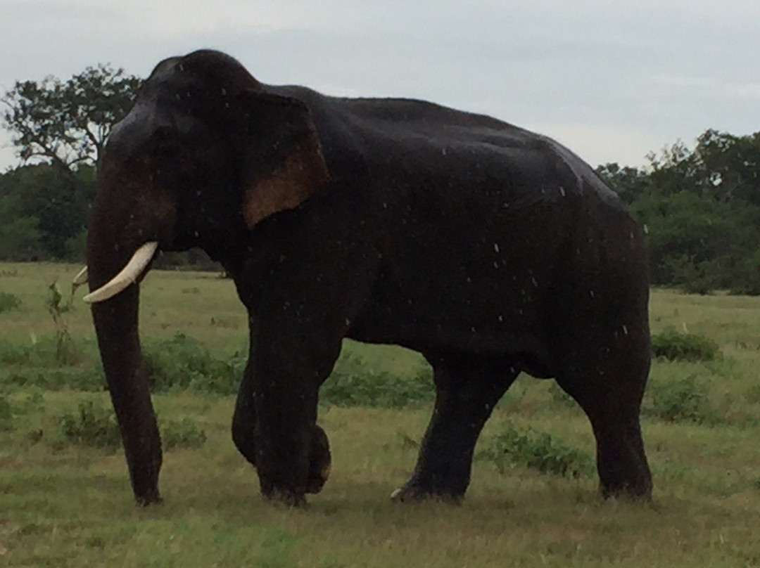 N2 Travels-加勒必去景点