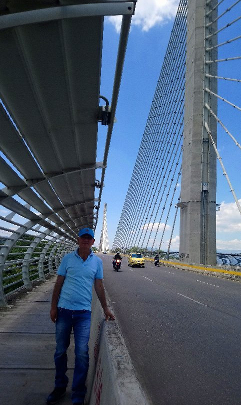 Puente del Bicentenario景点图片