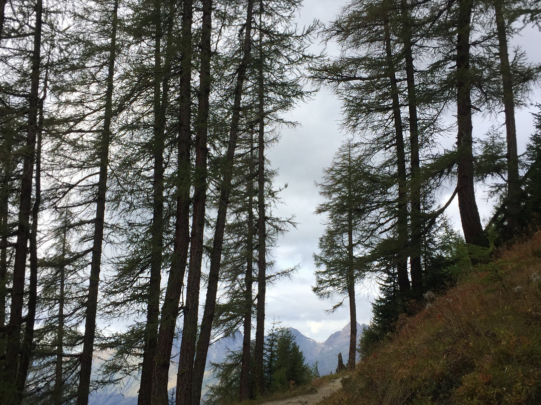 Lotschental Valley-Blatten必去景点