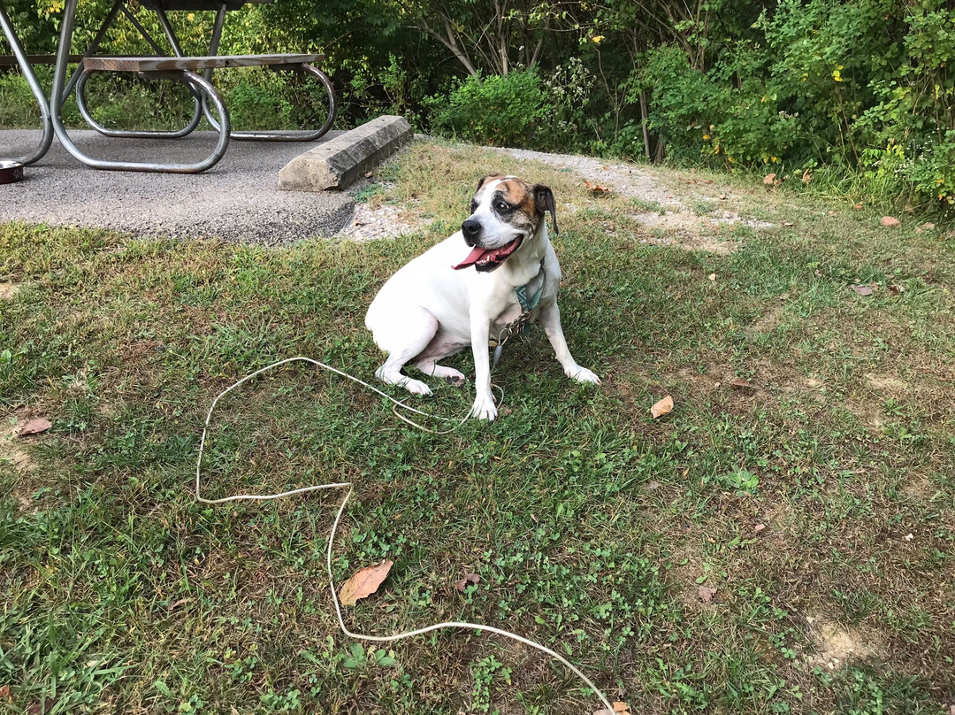 East Fork State Park-Bethel必去景点