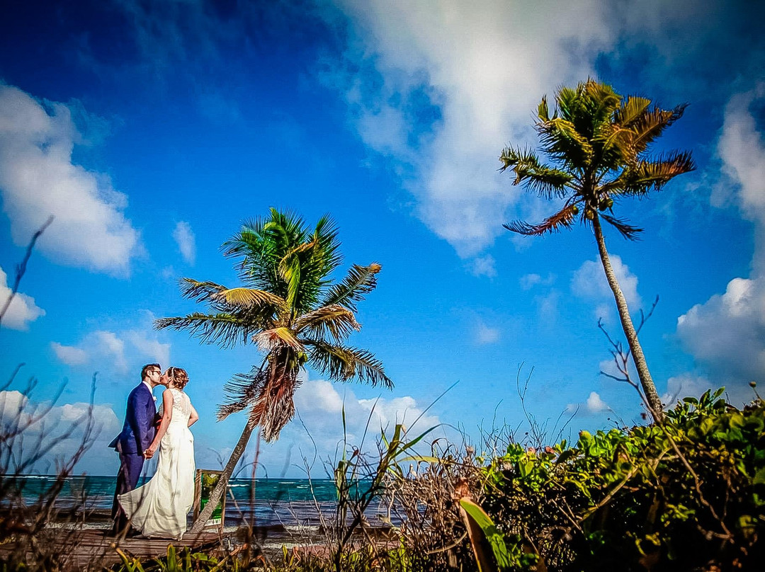 Elias Arcos Photography-Reforma必去景点