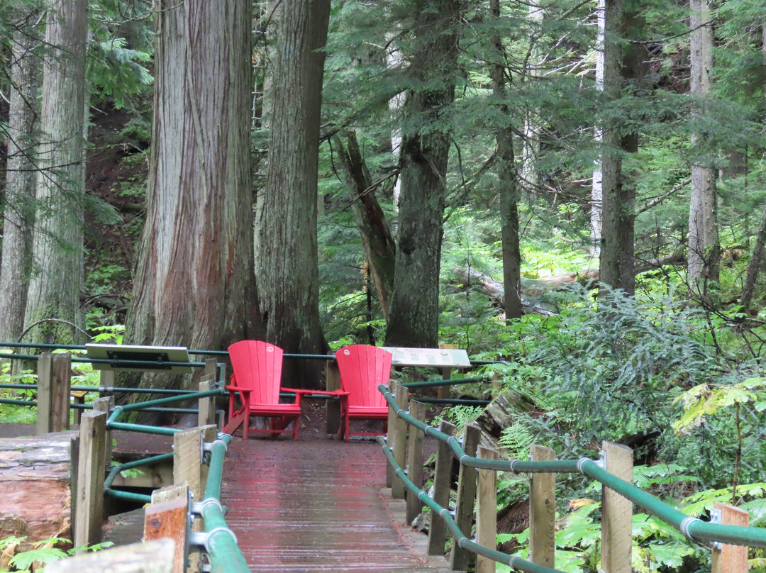 Hemlock Grove Boardwalk Trail景点图片