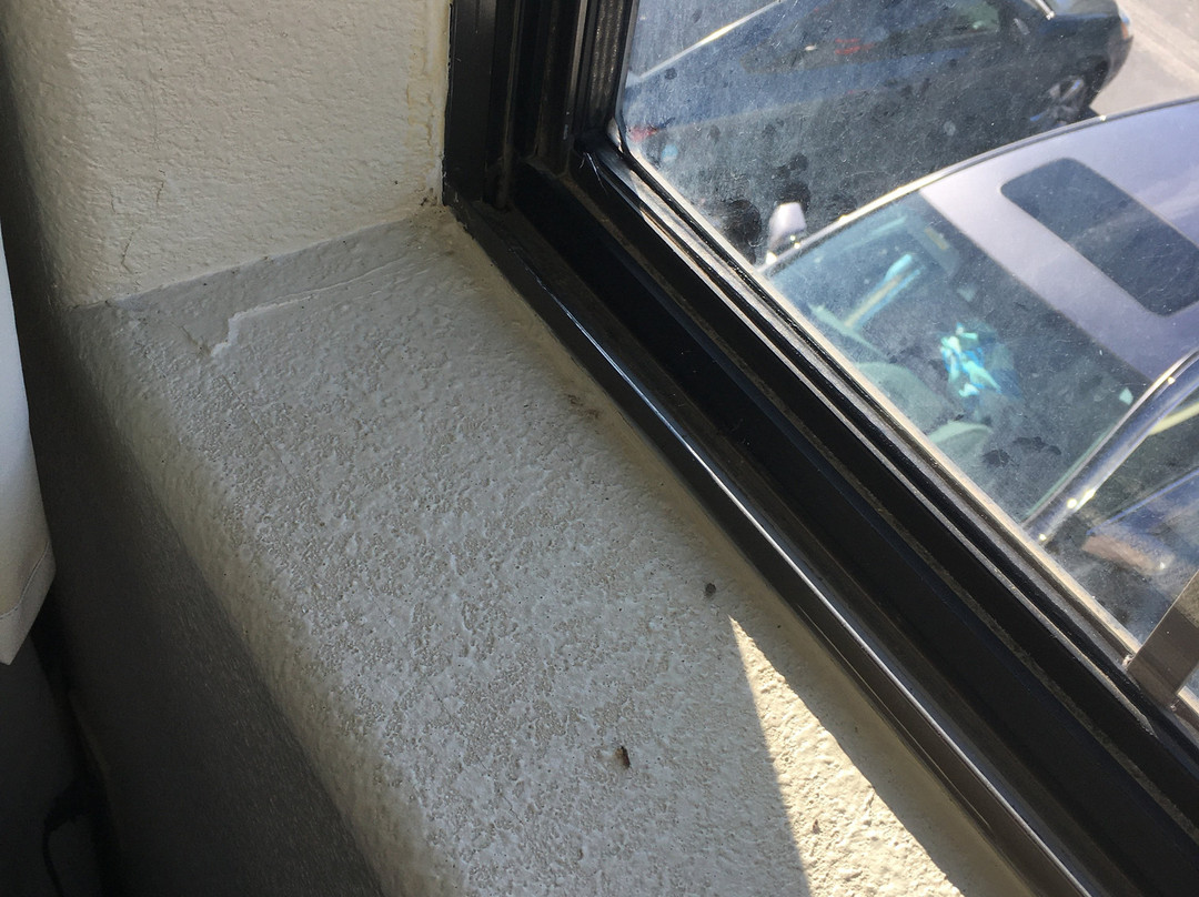 Comfort Inn Fruita主图