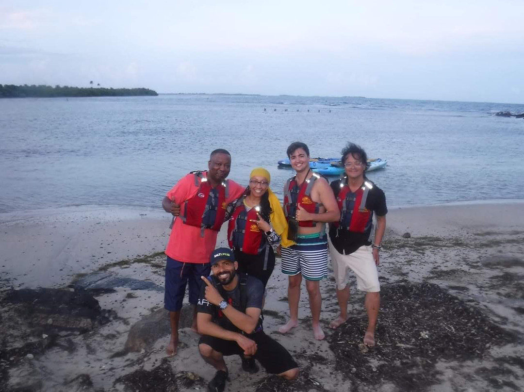 Puerto Rico Eco Tour-法哈多必去景点