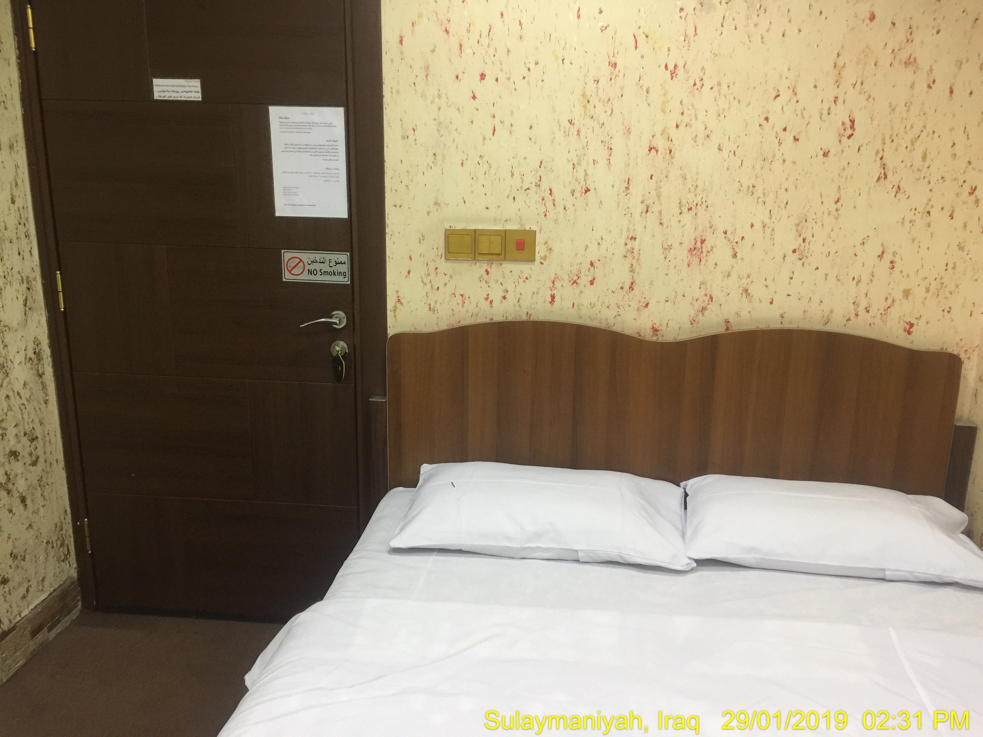 Dolphin Hotel & Hostel-客卧