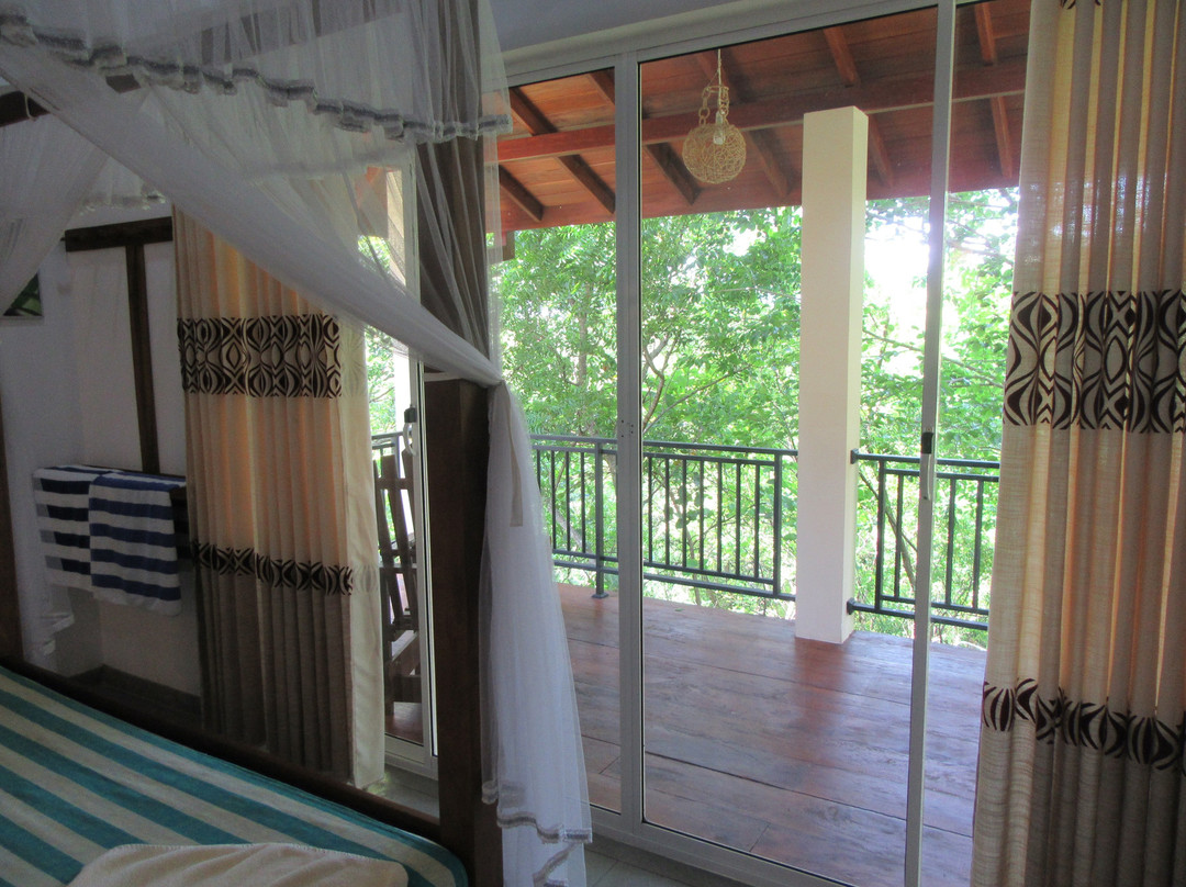 Jungle Paradise主图