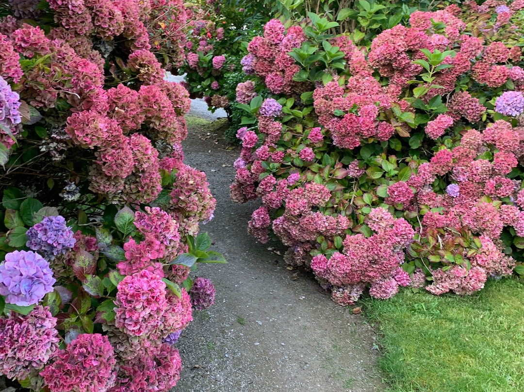 Beaufort Lodge主图