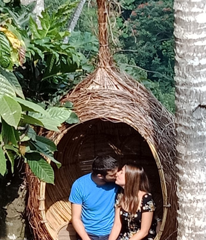 Bali Tour Experiences-登巴萨必去景点