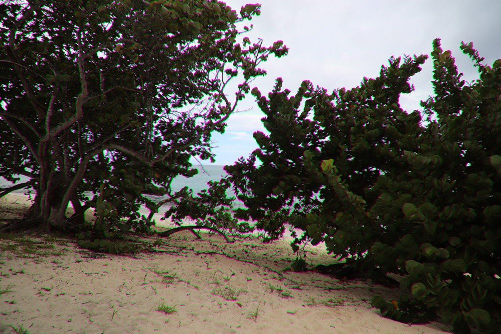 Plage du Vieux Fort-Marie-Galante必去景点