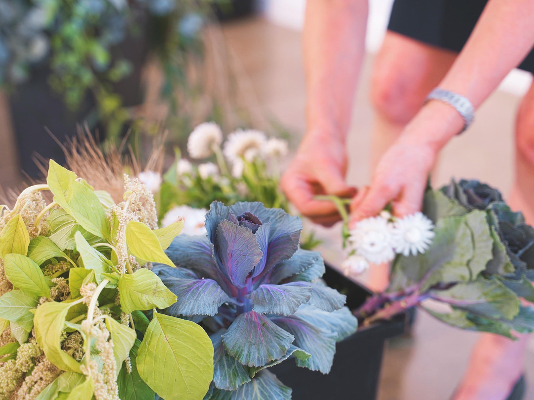 345 Art Creative-Mont Albert必去景点