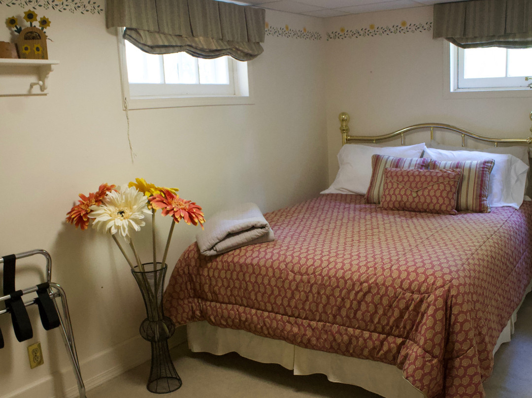 Tree House Bed and Breakfast主图