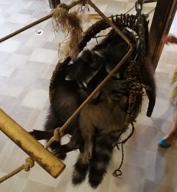 Crocodile Farm-苏达克必去景点