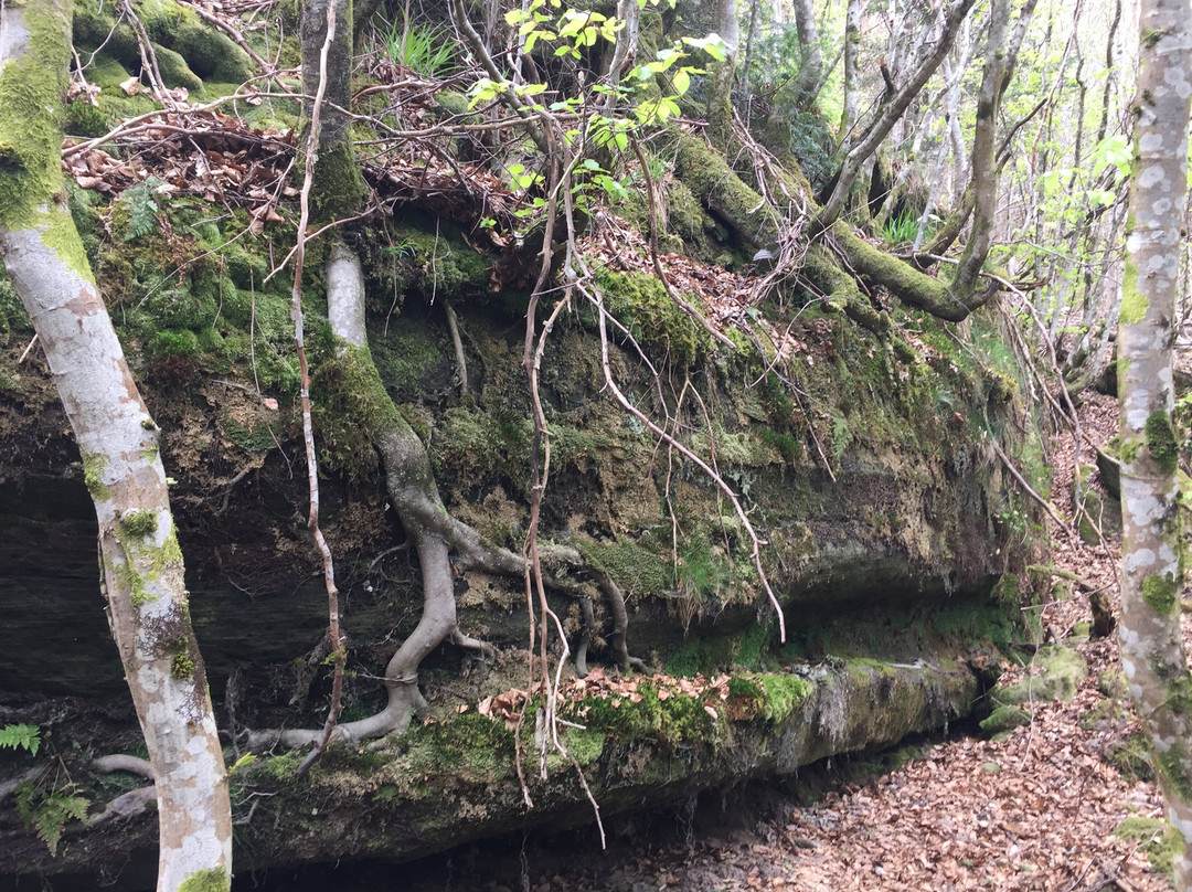 Sentier des Huguenots