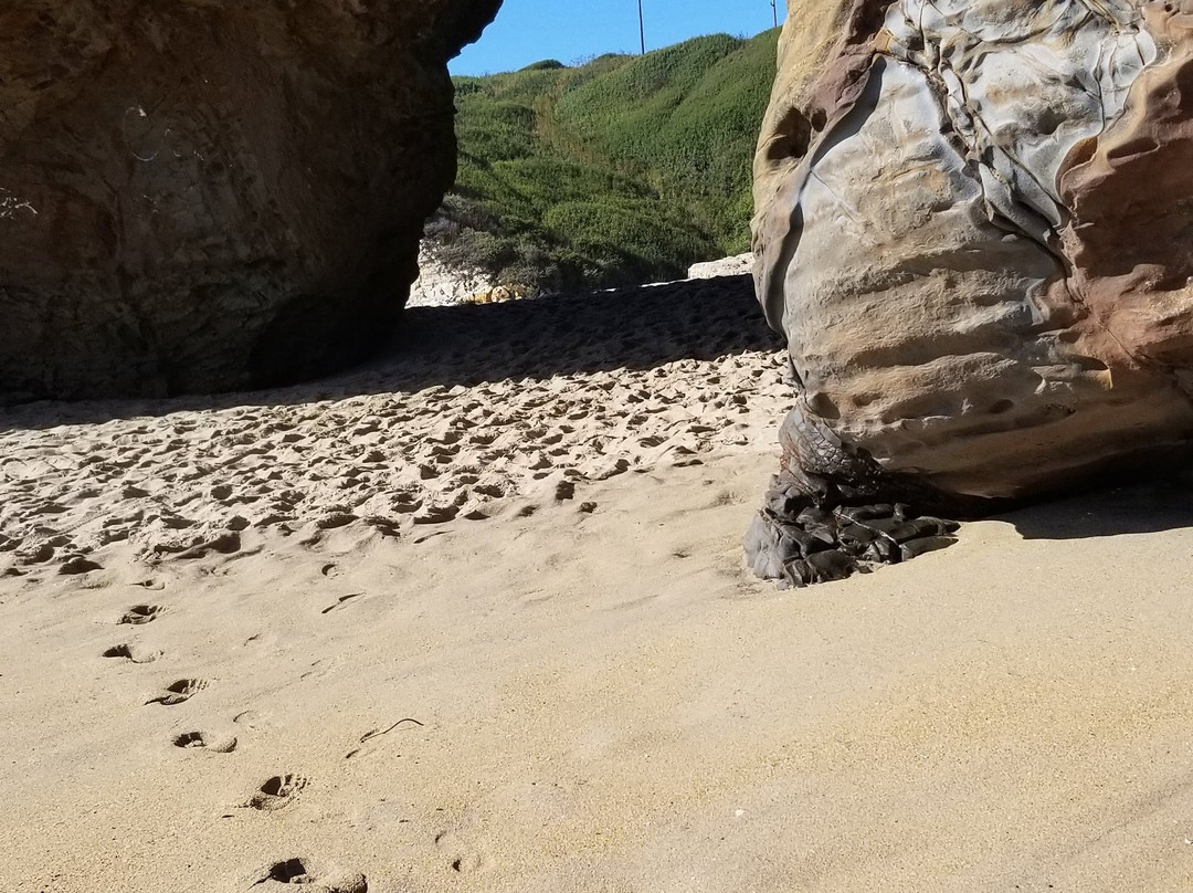 Panther Beach-圣克鲁斯必去景点