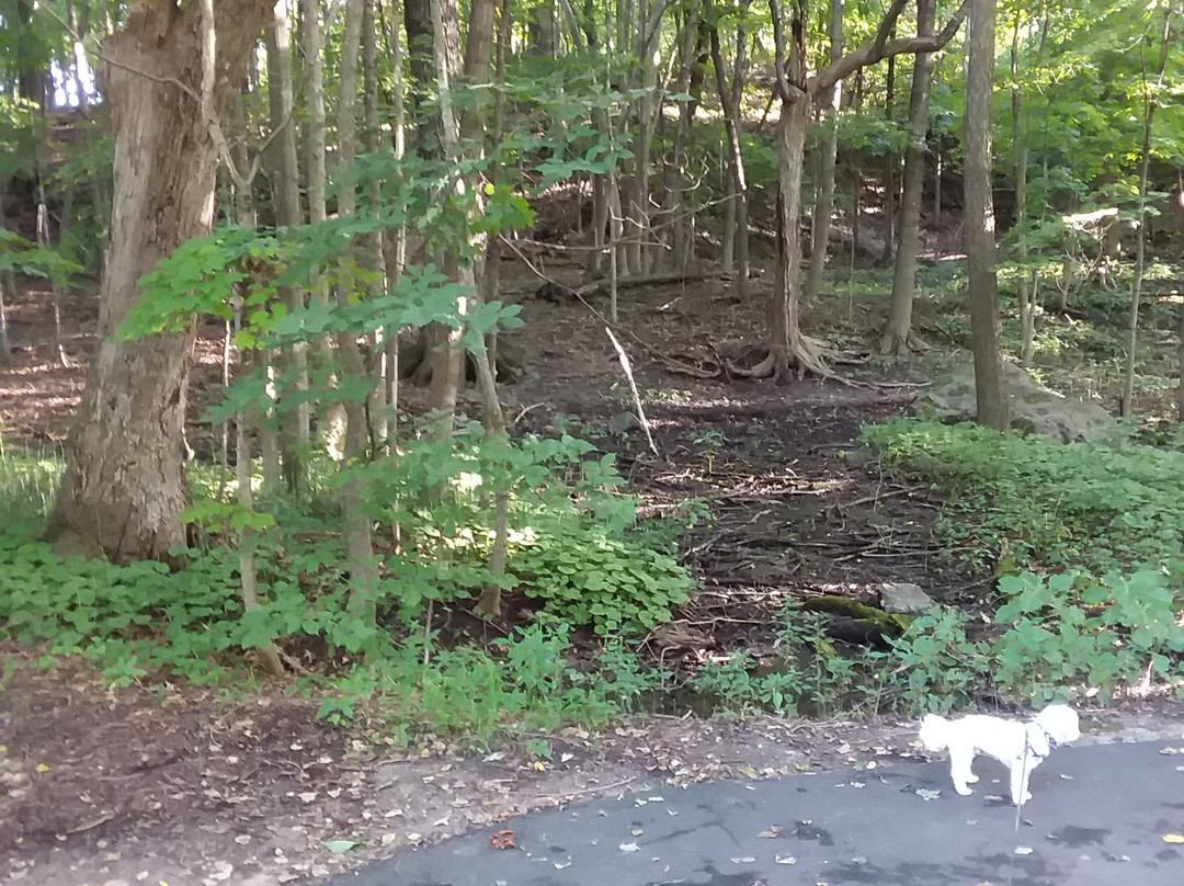 Moir Park-布卢明顿必去景点