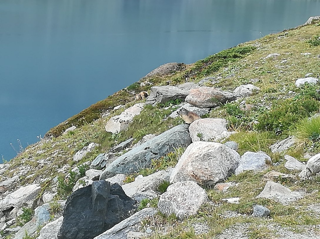 Lago Serru景点图片