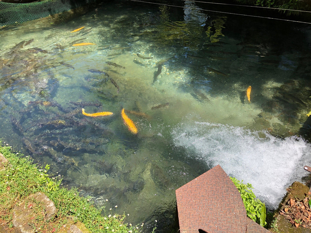 Shiga Prefecture Samegai Yosonjo-米原市必去景点
