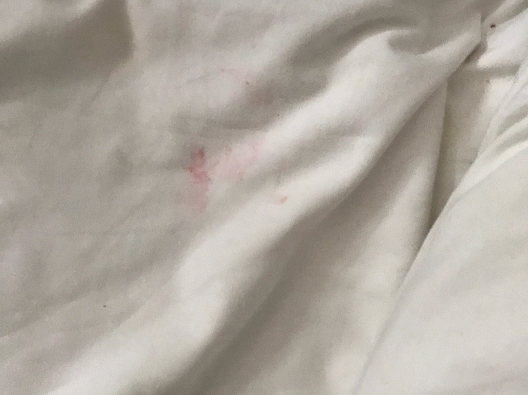 图洛德维拉纳酒店主图