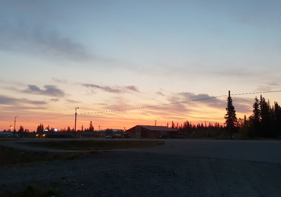 The Golden Bear主图