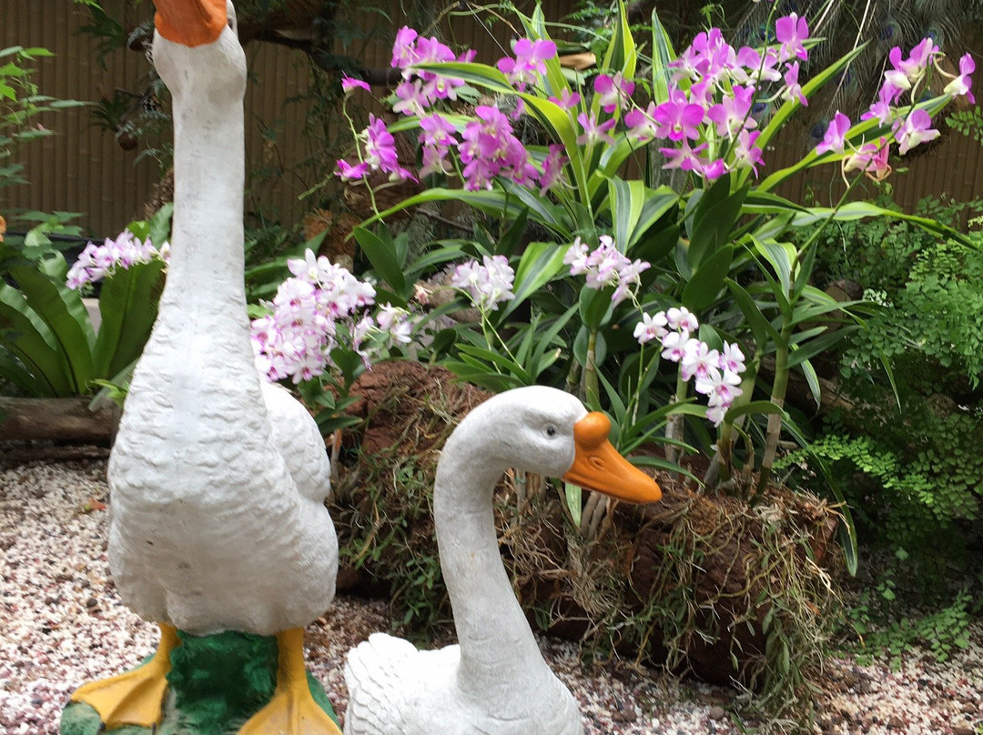 香港动植物公园景点图片