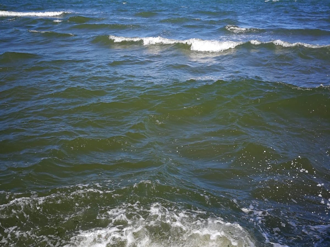 African Beach主图