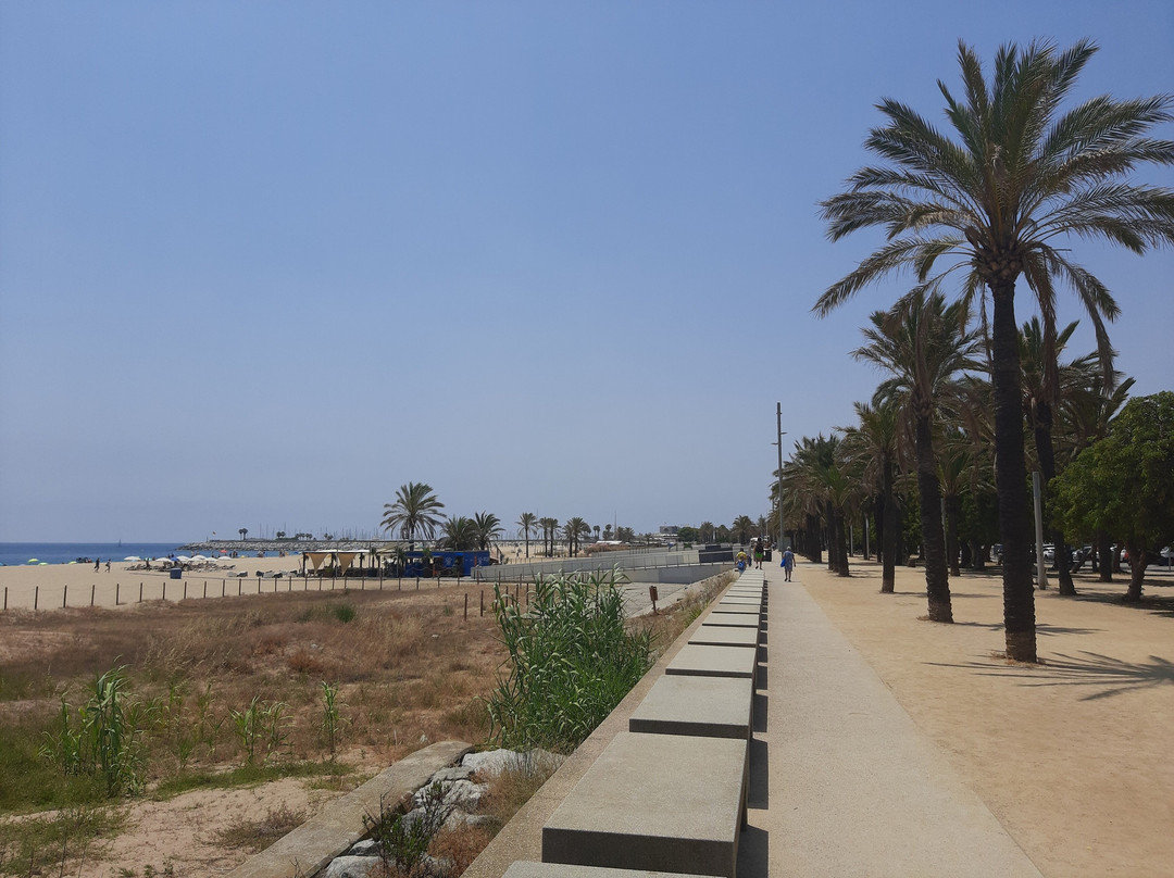 Playa Del Varador