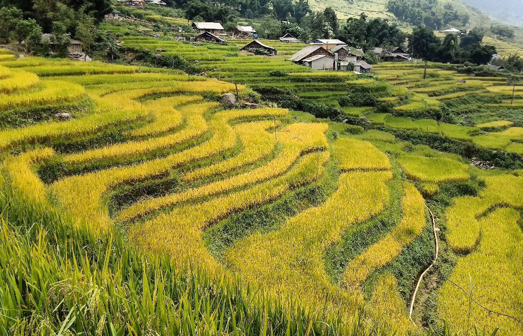 Local H'mong Sapa Tour with Chua Sung景点图片
