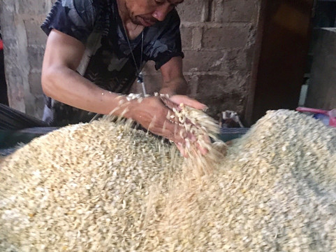 Ayu and Ngurah-登巴萨必去景点