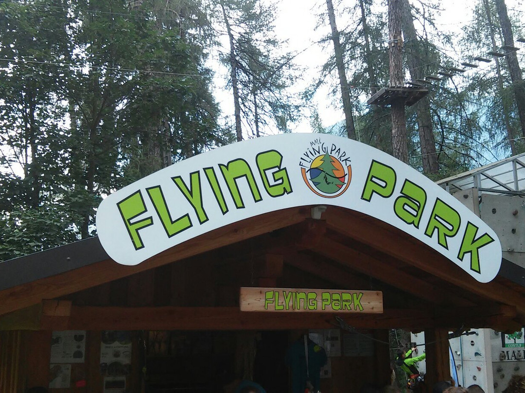Flying Park景点图片